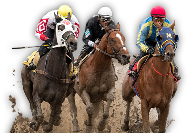 horse racing
