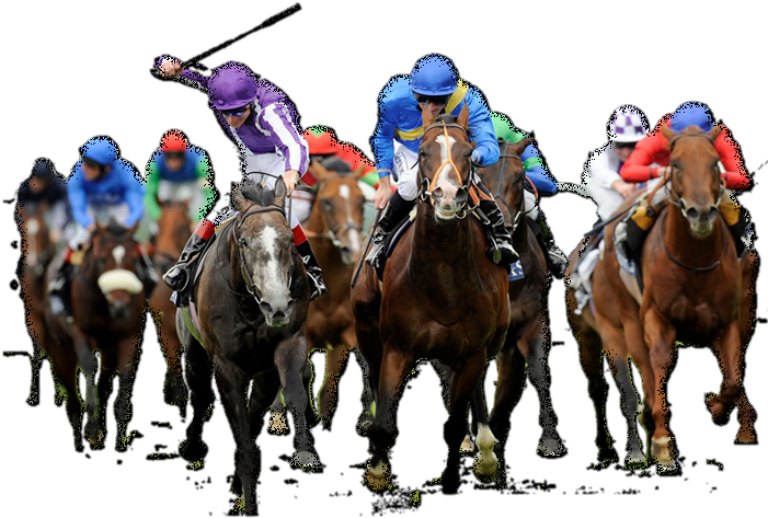 horse racing